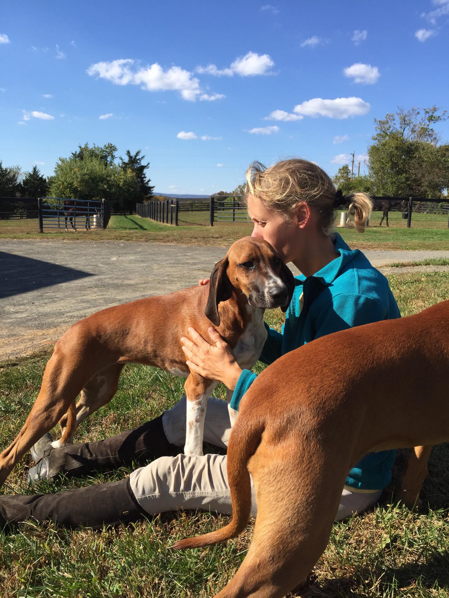 Wendy with the foxhounds
