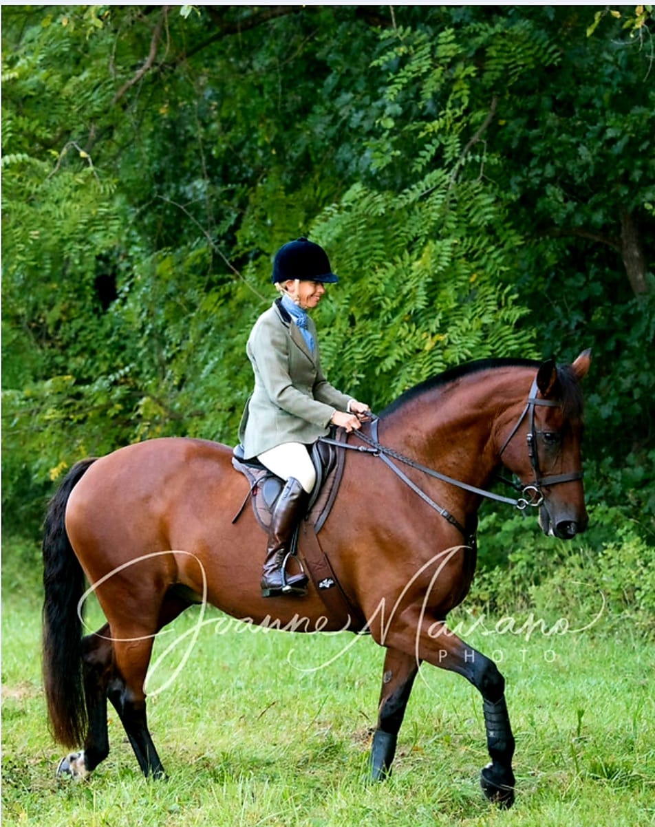 Wendy on a bay horse standing in a wooded field